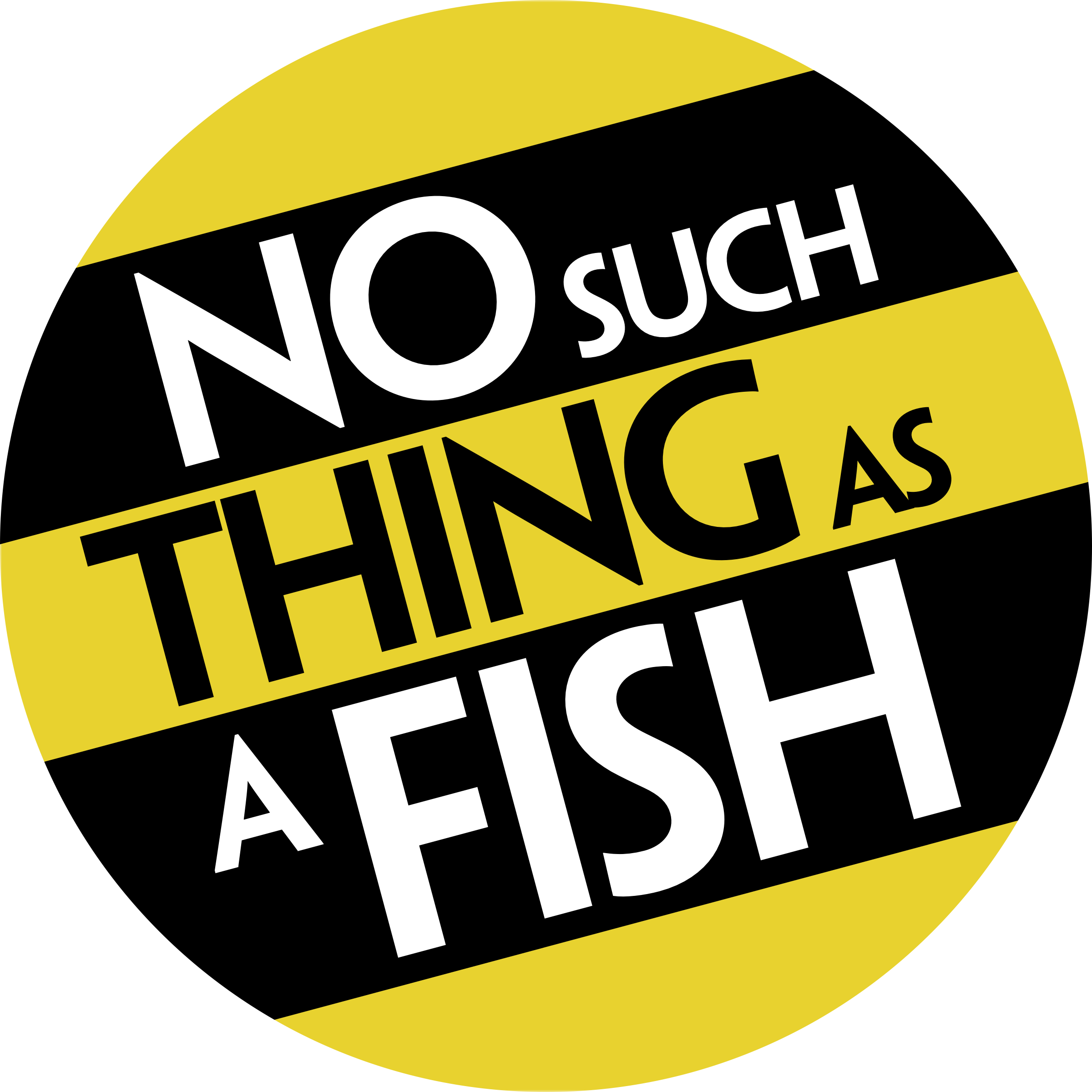 No Such Thing As A Fish Store
